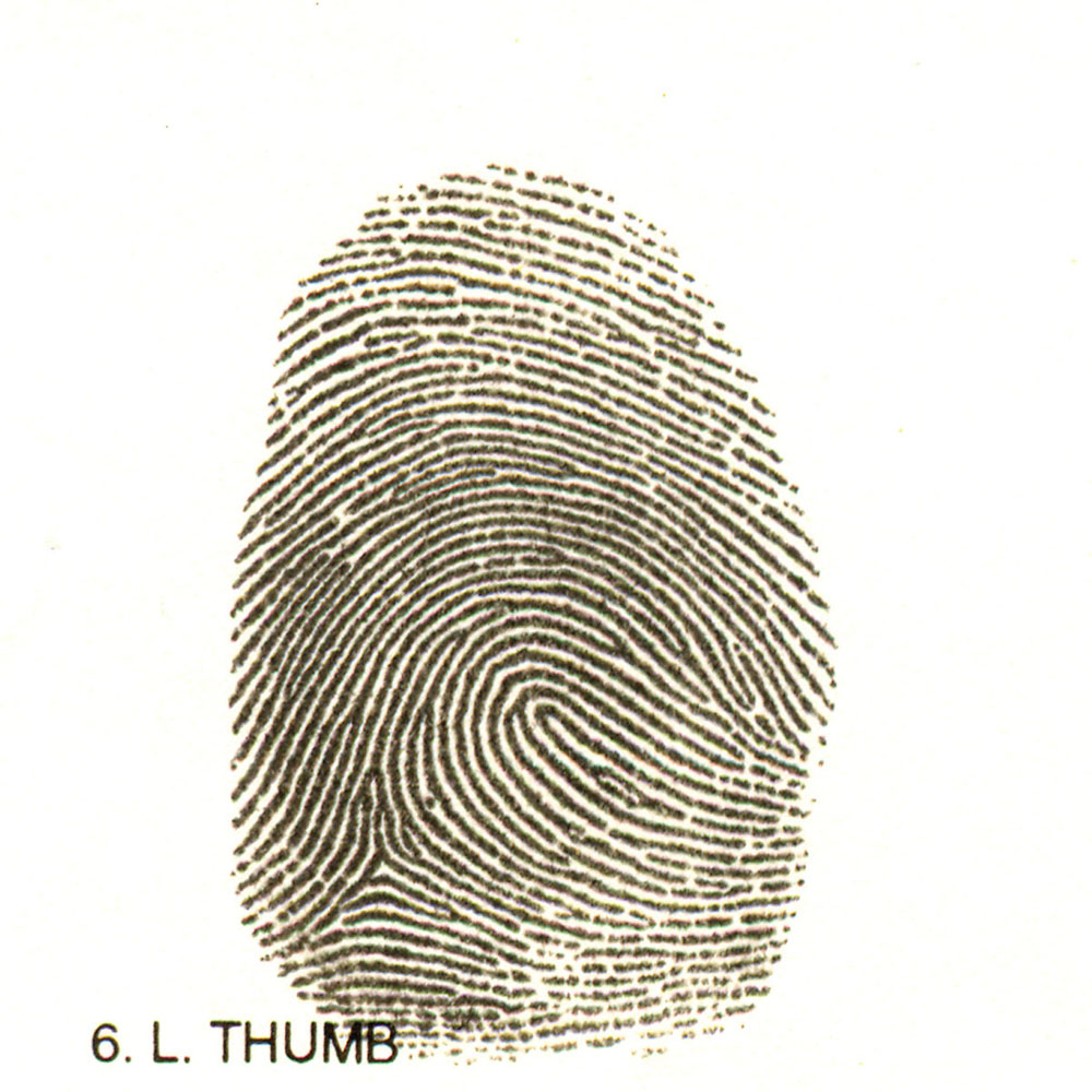 Fingerprint Ink Strips