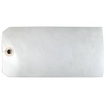 100 - White Blank Tyvek Tags