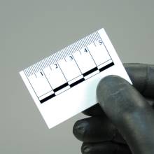 100 - 50mm Adhesive Pad Photo Scales - 2 pads