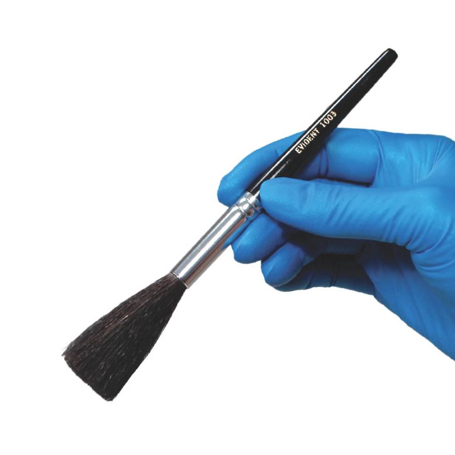 EVIDENT 7" Camel Hair Brush