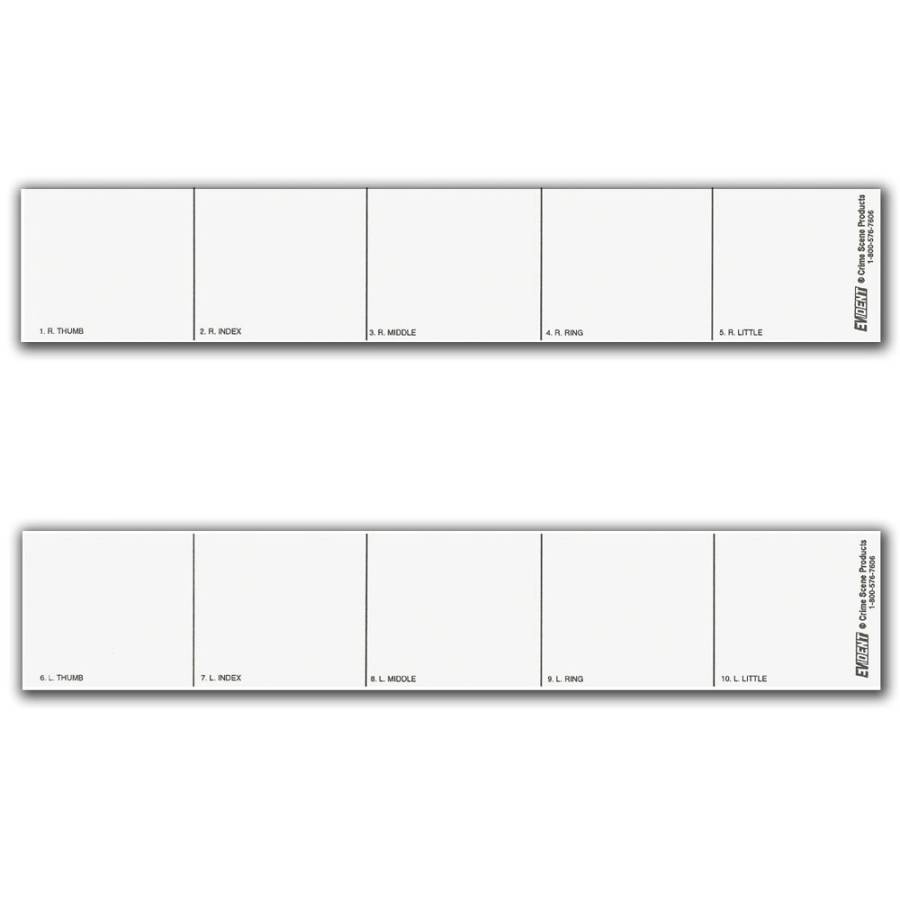 100 - Adhesive Right Postmortem Strips