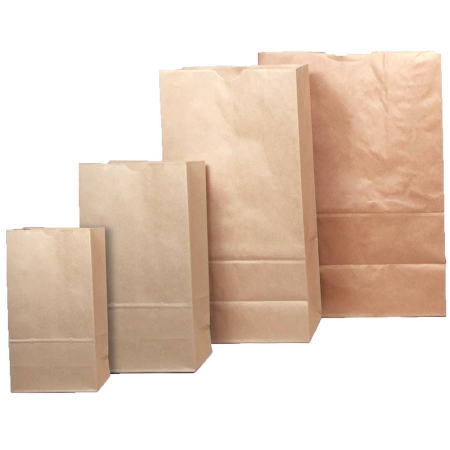 100 - X-Small Blank Paper Bags