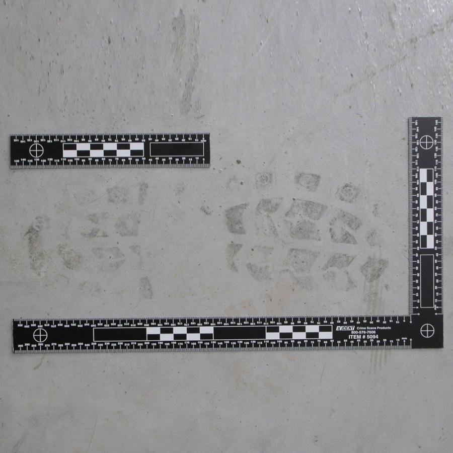 Scale