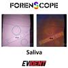 Saliva Detection with the ForenScope Multispectral Tablet